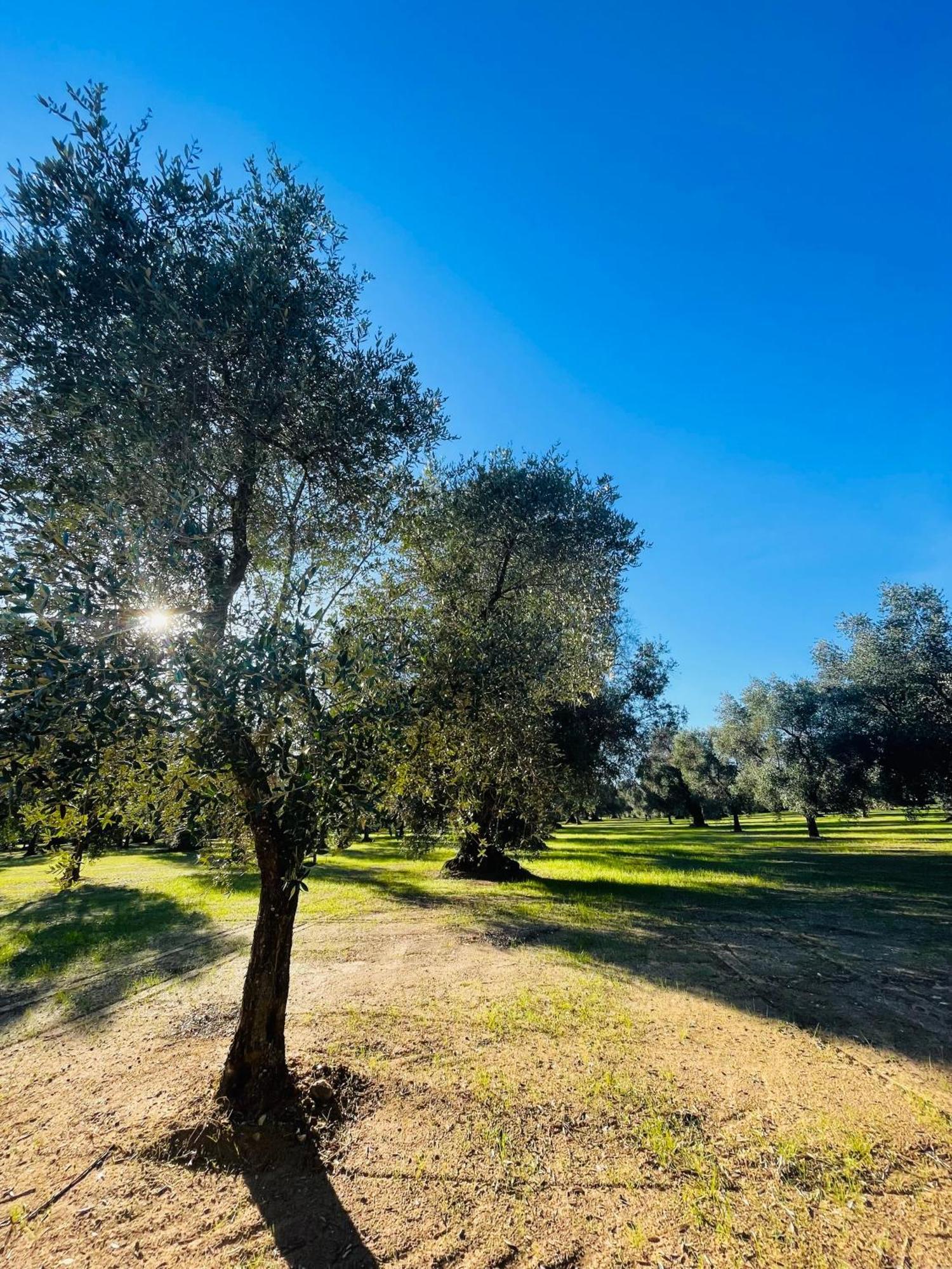 Apartmán La Nicchia Villa Castelli Exteriér fotografie
